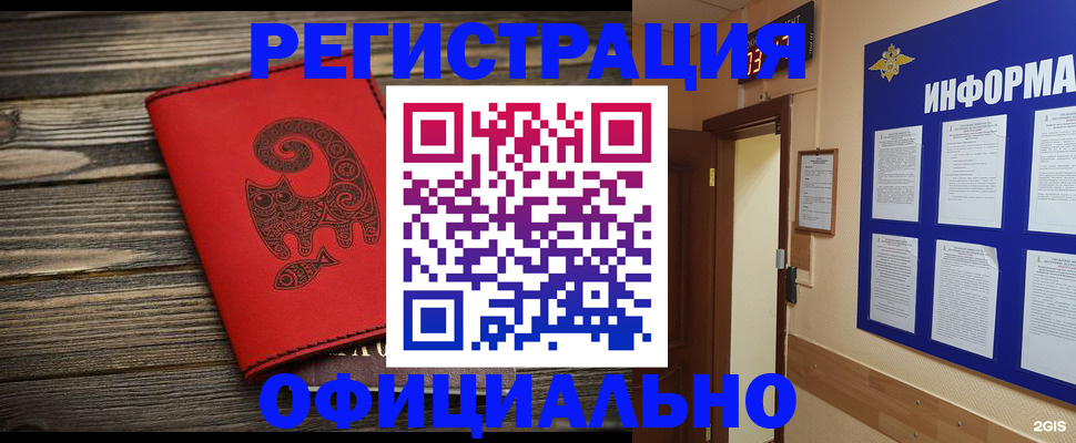 временная регистрация госуслуги в Новозыбкове